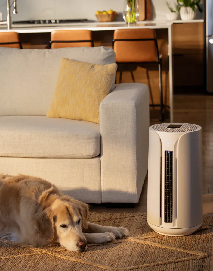 kingdomsyouth Pro in box